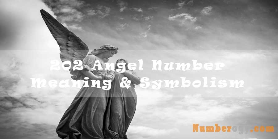 202 Angel Number - Meaning & Symbolism
