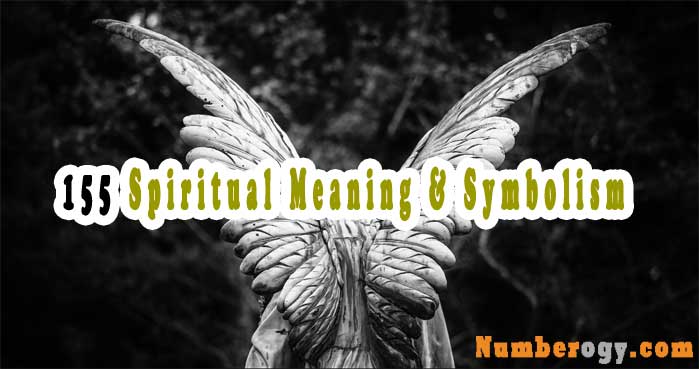 155 Spiritual Meaning & Symbolism