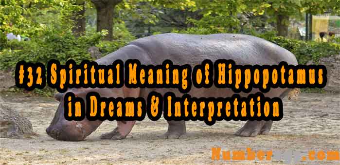 #32 Spiritual Meaning of Hippopotamus in Dreams & Interpretation