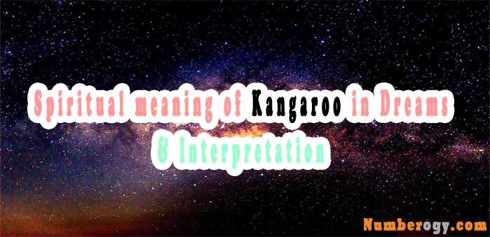 #35 Spiritual meaning of Kangaroo in Dreams & Interpretation