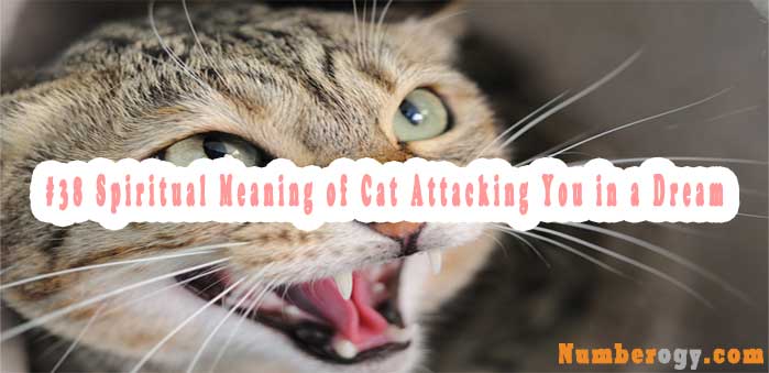 #38 Spiritual Meaning of Cat Attacking You in a Dream & Interpretation