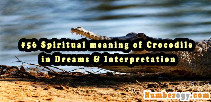 #56 Spiritual meaning of Crocodile in Dreams & Interpretation