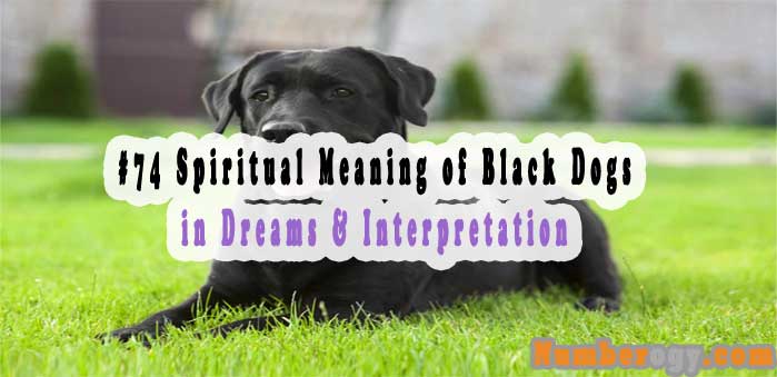 #74 Spiritual Meaning of Black Dogs in Dreams & Interpretation