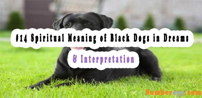 #14 Spiritual Meaning of Black Dogs in Dreams & Interpretation