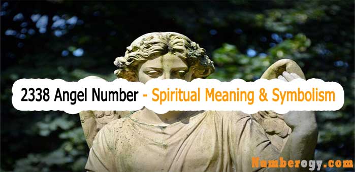 2338 Angel Number - Spiritual Meaning & Symbolism