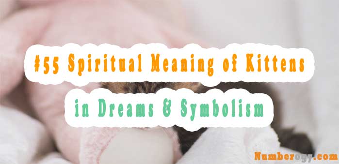 #55 Spiritual Meaning of Kittens in Dreams & Symbolism