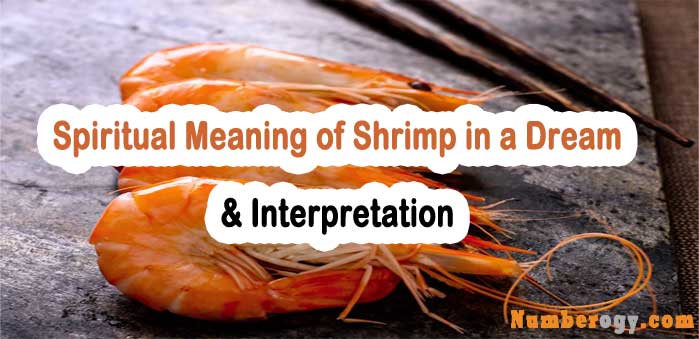 #18 Spiritual Meaning of Shrimp in a Dream & Interpretation