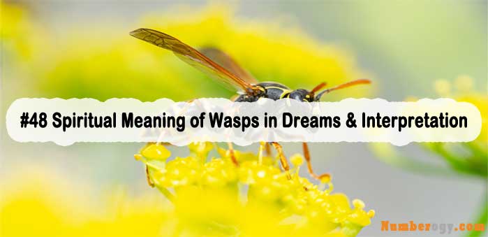 #48 Spiritual Meaning of Wasps in Dreams & Interpretation