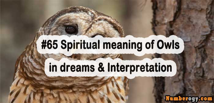 #65 Spiritual meaning of Owls in dreams & Interpretation