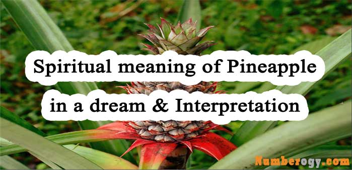#92 Spiritual meaning of Pineapple in a dream & Interpretation