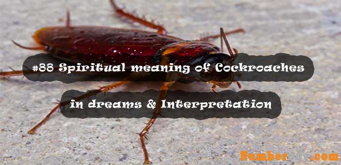 #88 Spiritual meaning of Cockroaches in dreams & Interpretation