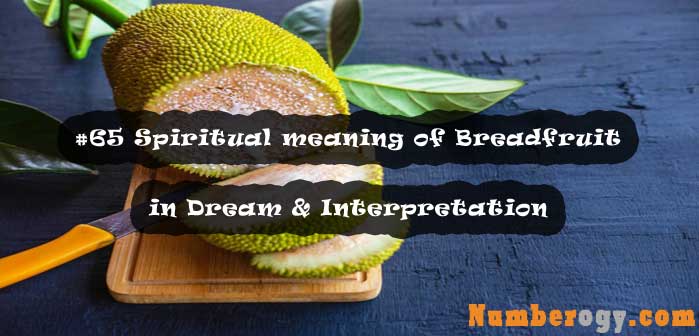 #65 Spiritual meaning of Breadfruit in Dream & Interpretation