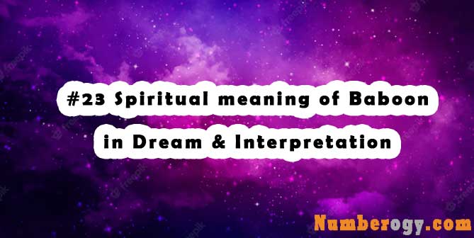#23 Spiritual meaning of Baboon in Dream & Interpretation