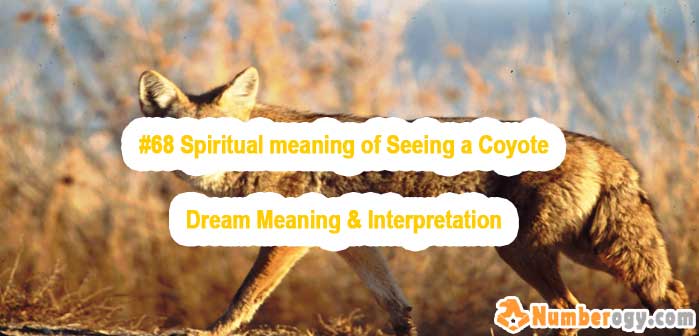 #68 Spiritual meaning of Seeing a Coyote - Dream Meaning & Interpretation