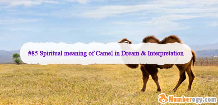 #85 Spiritual meaning of Camel in Dream & Interpretation
