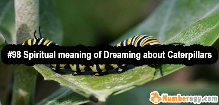 #98 Spiritual meaning of Dreaming about Caterpillars