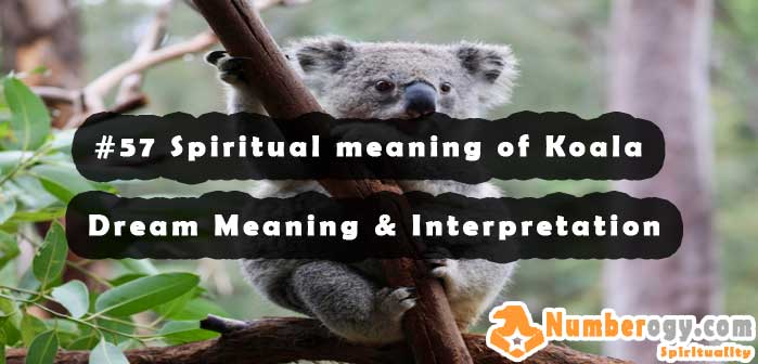 #57 Spiritual meaning of Koala - Dream Meaning & Interpretation
