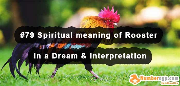 #79 Spiritual meaning of Rooster in a Dream & Interpretation