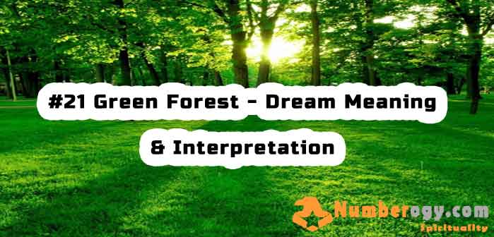 #21 Green Forest - Dream Meaning & Interpretation