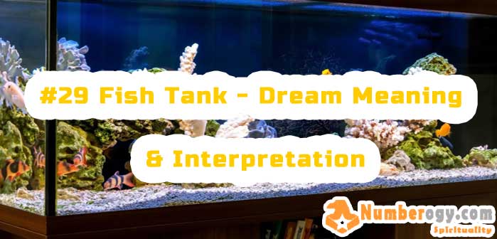 #29 Fish Tank - Dream Meaning & Interpretation