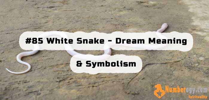 #85 White Snake - Dream Meaning & Symbolism