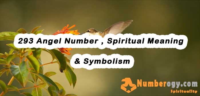 293 Angel Number , Spiritual Meaning & Symbolism