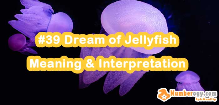 #39 Dream of Jellyfish , Meaning & Interpretation