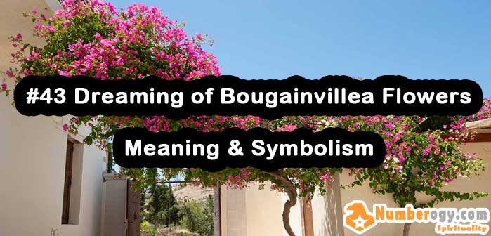 #43 Dreaming of Bougainvillea Flowers , Meaning & Symbolism