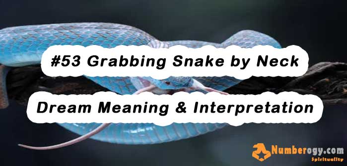 #53 Grabbing Snake by Neck - Dream Meaning & Interpretation