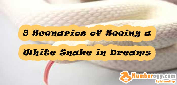 8 Scenarios of Seeing a White Snake in Dreams