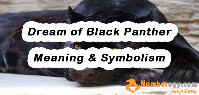 Dream of Black Panther - Meaning & Symbolism