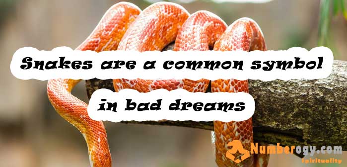 Snakes are a common symbol in bad dreams
