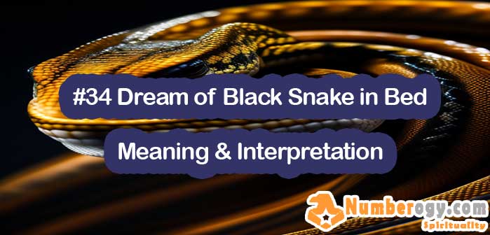 #34 Dream of Black Snake in Bed - Meaning & Interpretation