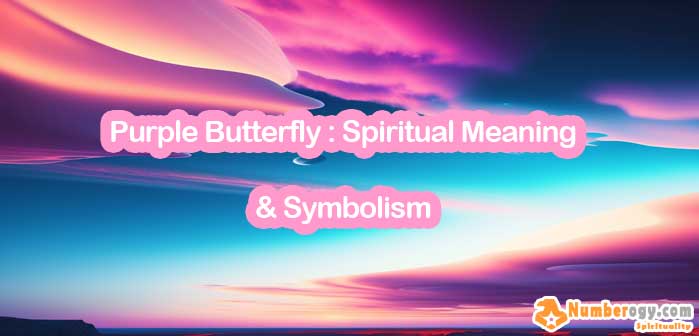 Purple Butterfly : Spiritual Meaning & Symbolism