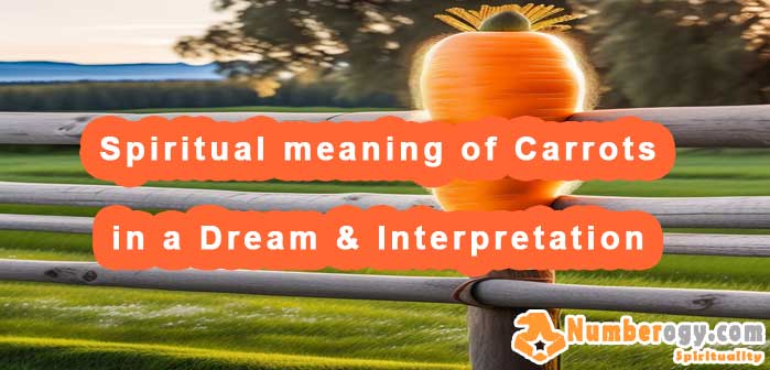 #15 Spiritual meaning of Carrots in a Dream & Interpretation
