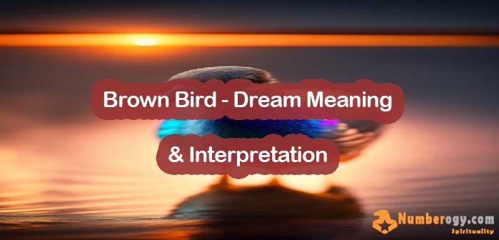 Brown Bird - Dream Meaning & Interpretation