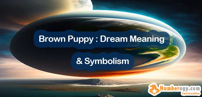 Brown Puppy : Dream Meaning & Symbolism