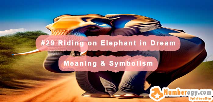 #29 Riding on Elephant in Dream - Meaning & Symbolism