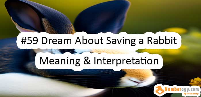 #59 Dream About Saving a Rabbit , Meaning & Interpretation