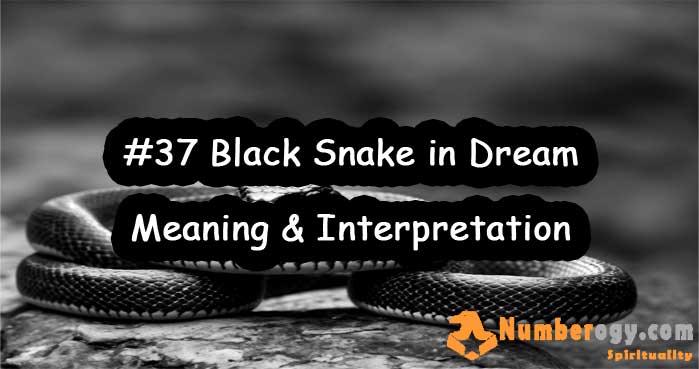 #37 Black Snake in Dream , Meaning & Interpretation