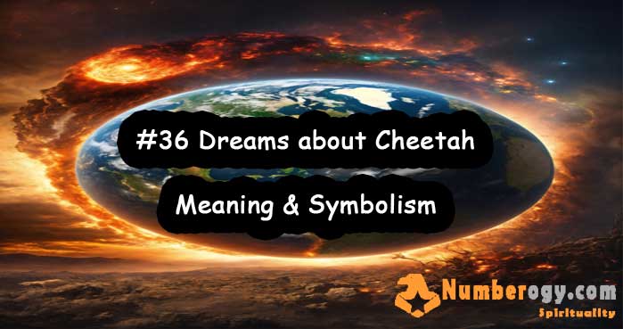 #36 Dreams about Cheetah , Meaning & Symbolism
